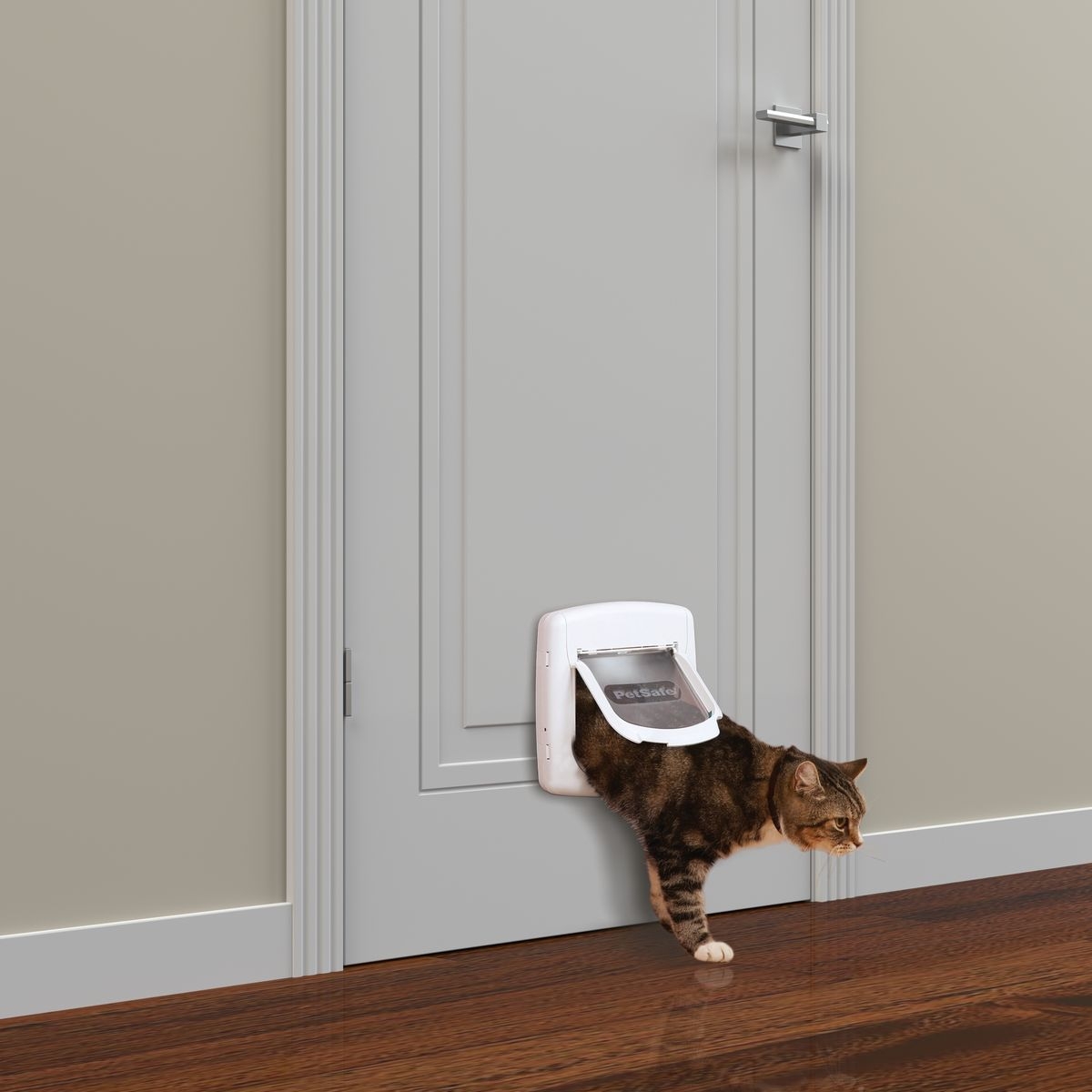 дверца для кошки в туалетную дверь